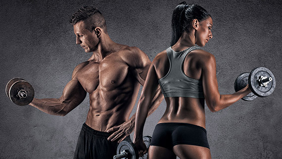 Exercices de musculation